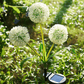 ❤️Handmade Outdoor Solar Dandelion Lamp